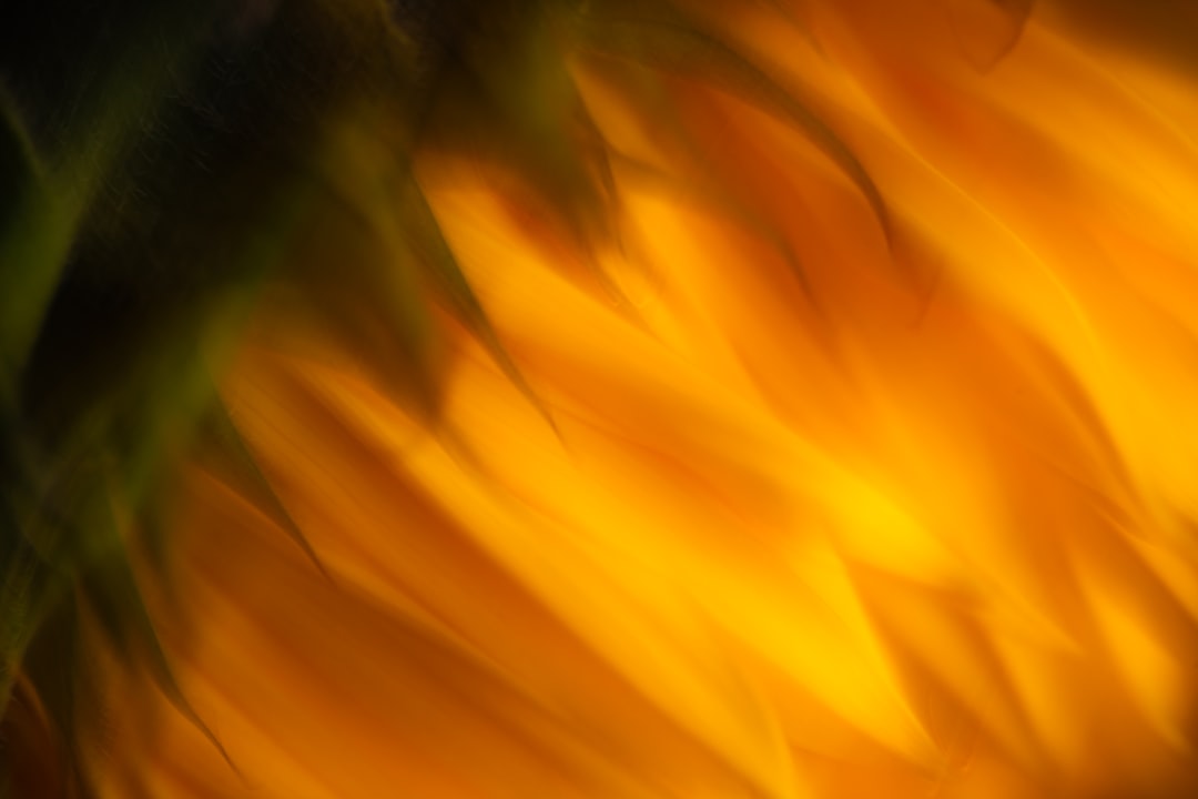 Onverwachte telefoontjes van +31 20 211 12 33: wat je kunt verwachten